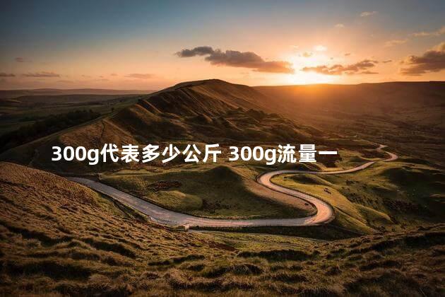 300g代表多少公斤 300g流量一个月够用吗